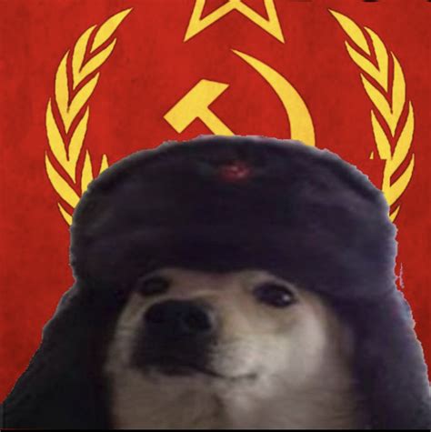 My Dogo And A Soviet Dogo Duckboss