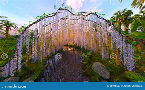 Garden Of A Wisteria Trellis And The Pond Stock Image Image Of Season