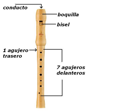 MUSICAL GÁLDAR Partes de la Flauta
