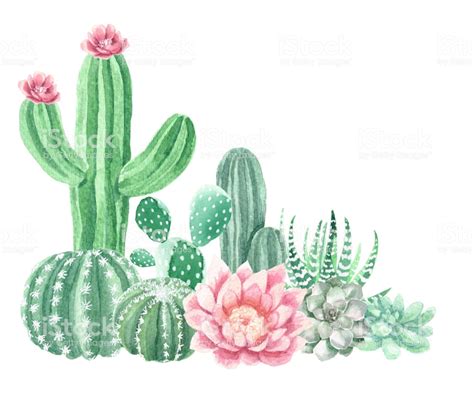 Free Watercolor Cactus Clipart 10 Free Cliparts Download Images On