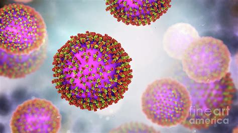 Measles Virus Photograph By Kateryna Konscience Photo Library Fine