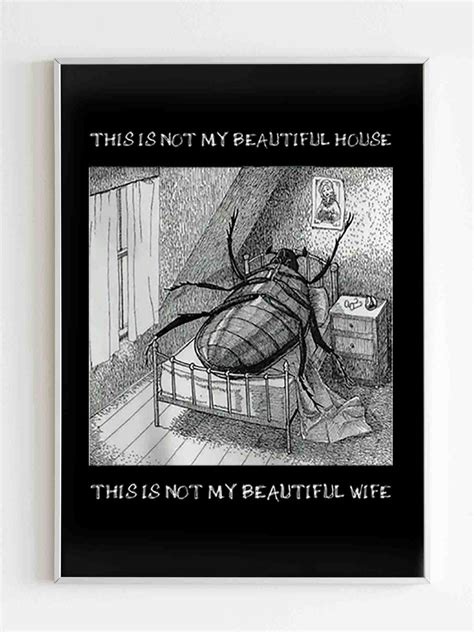 This Is Not My Beautiful House And Wife Classic Poster