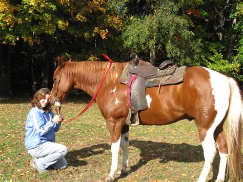 Beautiful Fall Horseback Riding 024 Bunnyquest Flickr