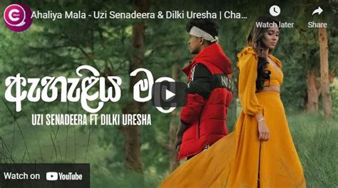 new music ahaliya mala uzi senadeera and dilki uresha chamath sangeeth official music