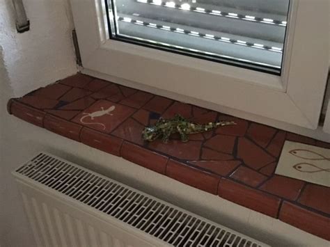 Keramische wandfliesen aus mexiko, tunesien, marokko und der türkei. mexiko-fliesen.de - Mexiko-Fliesen Shop. (mit Bildern ...