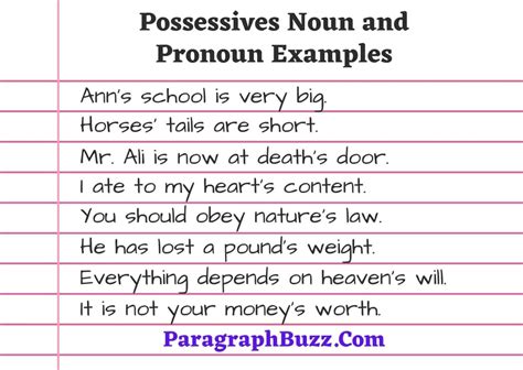 50+ Possessives Noun and Pronoun Examples in Sentence