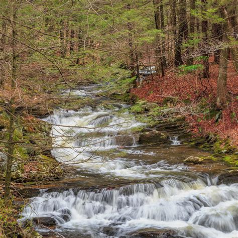 Forest Stream Square Photograph By Bill Wakeley Fine Art America