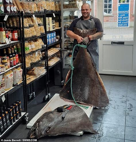 Catch Of The Day Fishmonger Buys A Monster Stone Halibut For