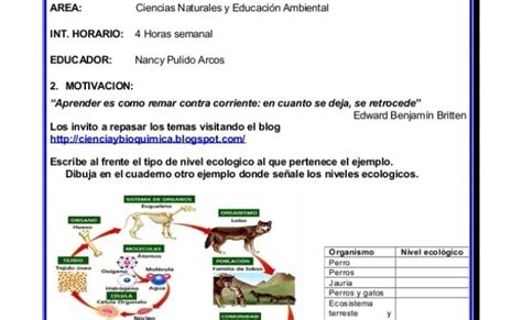 Quinto Grado Diagnostico De Ciencias Naturales Experimentos De Ciencias