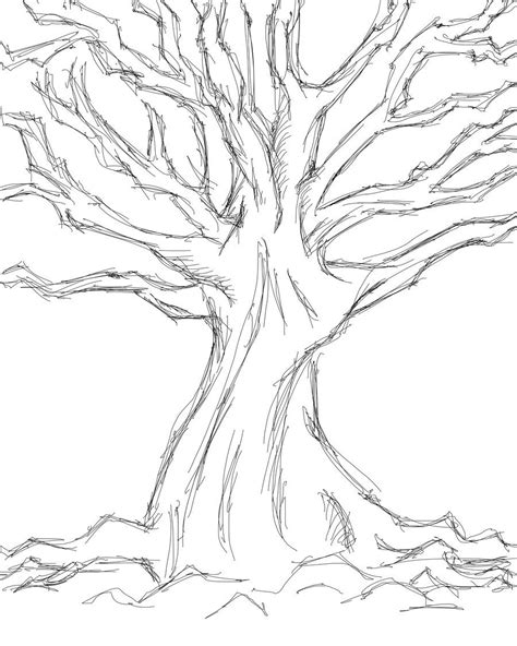 Simple Tree Sketches Images The Image Kid Has It