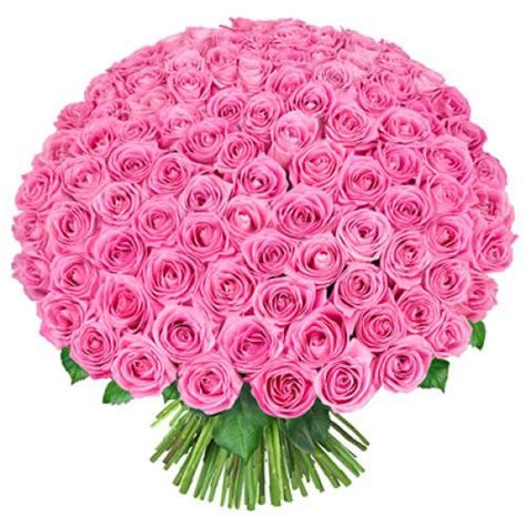 100 Pink Roses Hand Tied Bouquet In Baltimore Md House Of Arnold Florist