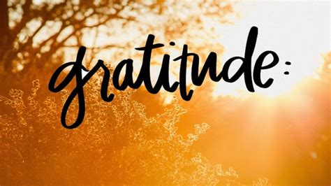 Gratitude Grows You Delightful And Distinctive Colrs