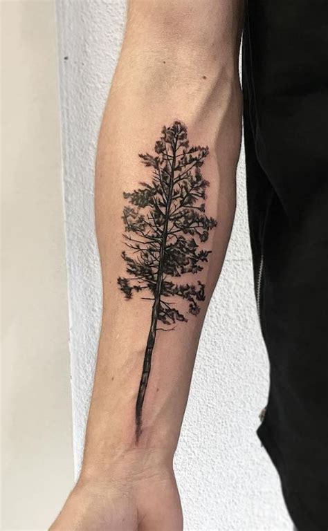 Pine Tree Tattoo Inkstylemag Tree Tattoo Arm Tree Tattoo Tree