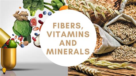 Fibers Vitamins And Minerals Balanced Diet 2021 Youtube