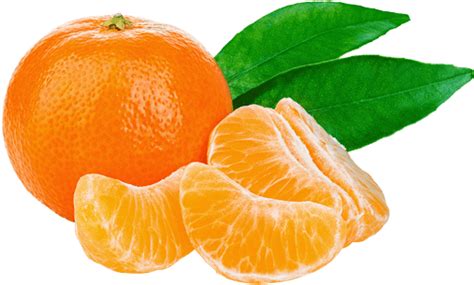 Download Tangerine Tangerine Png Png Image With No Background