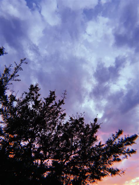 Sunset Phone Background Tree Clouds Aesthetic Photography