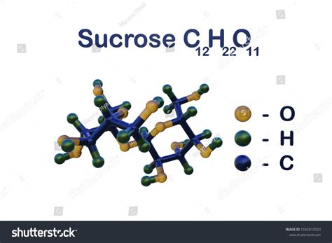 Structural Chemical Formula Molecular Model Sucrose Stock Illustration