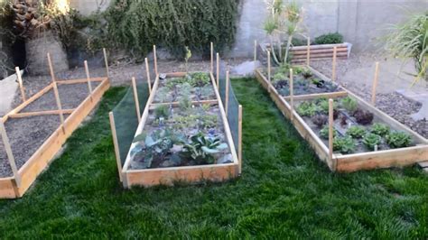 Now the grass really can be greener on your side. Raised Garden Beds - Vegetable Garden in Phoenix, Arizona ...