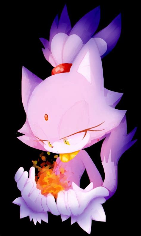 Sonic The Hedgehog Silver The Hedgehog Shadow The Hedgehog Blaze The