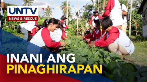 Mayon Evacuees Sa Albay Inani Na Ang Itinanim Na Mga Gulay Sa Evacuation Centers Youtube