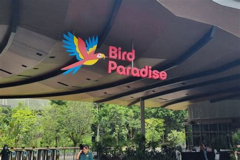 Bird Paradise What To Expect From Mandais Newest Wildlife Park