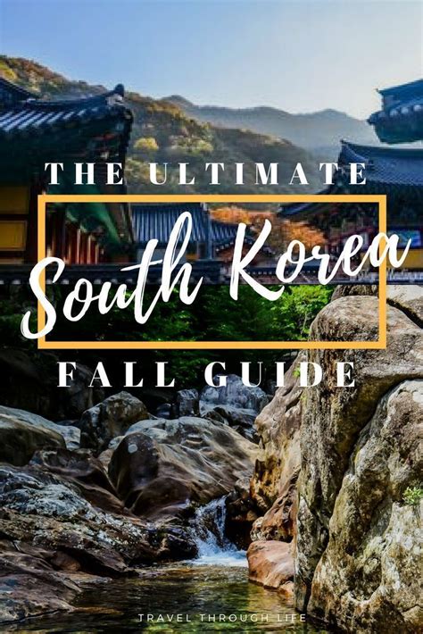 The Ultimate South Korea Fall Travel Guide For Visitors And Expats