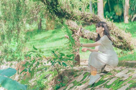 图片素材 美丽 女孩 绿色 性质 生态系统 树 叶 厂 林地 丛林 森林 雨林 草家庭 休闲 弹簧 乐趣