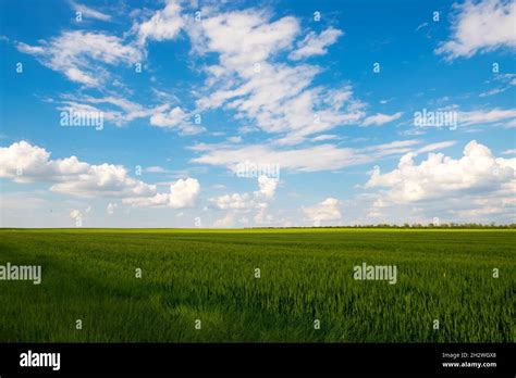 Green Meadow Under Blue Sky With Clouds Natural Sky Composition Stock