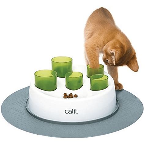 The 9 Best Slow Feeder Cat Bowls Of 2022 Daily Paws
