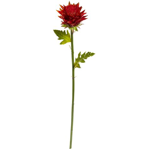 If you are propagating a cutting with leaves, push the stem down far enough that at least five of the leaves are not in the ground. Pin on Long stem flowers