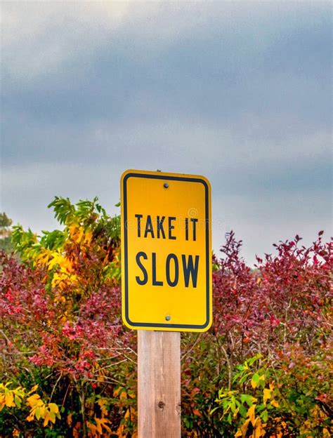 Sign Says Take It Slow Stock Image Image Of Branch 199985365