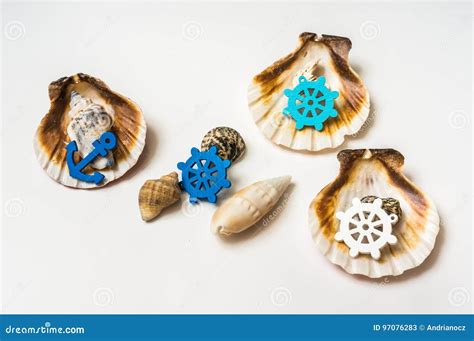 Decorated Sea Shells With Marine Wheel And Anchor Stock Image Image