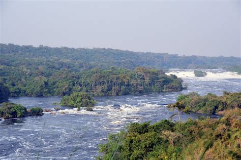 Karuma Falls Uganda Stock Image Image Of Bath Biology 170474817