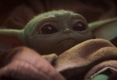 An Adorable 50 Year Old Baby Yoda Appeared In The