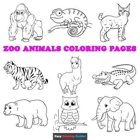 Zoo Animal Coloring Pages For Toddlers