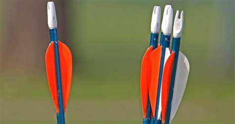 Arrow Spine Chart How To Find Your Arrow Spine Archery For Beginners