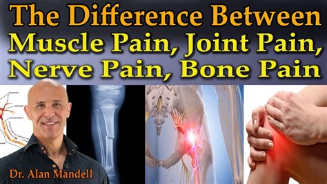 The Difference Between Muscle Pain Joint Pain Nerve Pain And Bone Pain