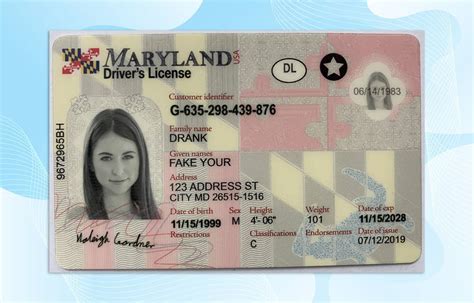 Maryland Drivers License Template New Edition Photoshop File