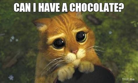 12 Memes About Chocolate In Honor Of National Chocolate Day That Are