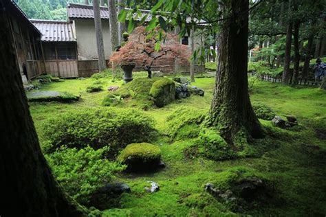 2020年 苔の里へ行く前に！見どころをチェック トリップアドバイザー