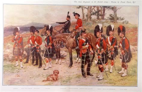 The Scots Regiment In The British Army Cameron Royal Scots Fusilier