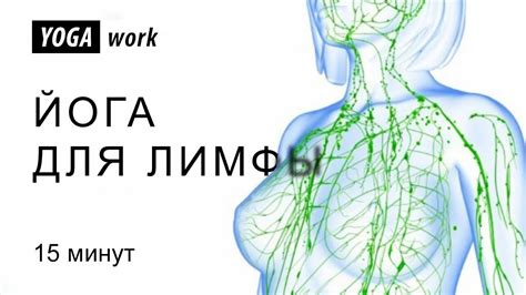 Лимфодренажная зарядка | Упражнения для разгона и очистки лимфы | Йога ...