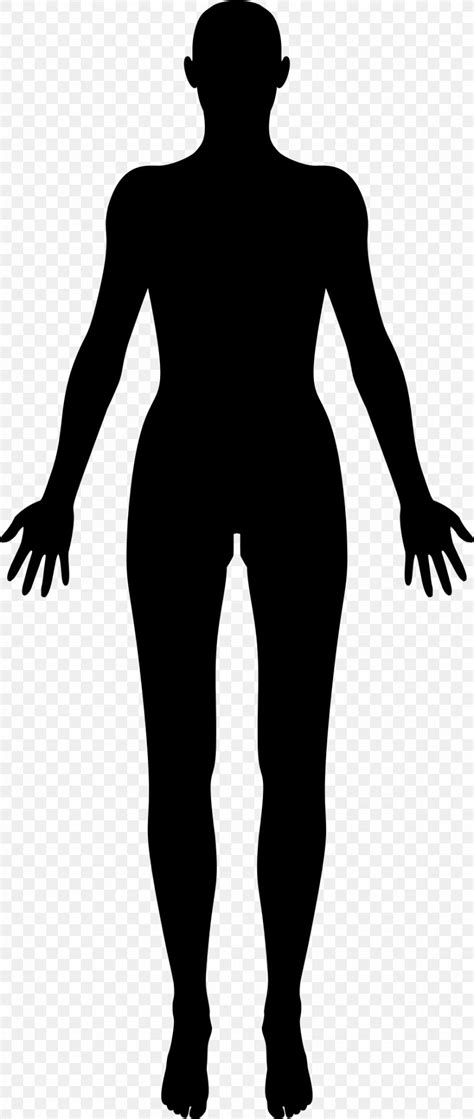 Female Body Silhouette Art Silhouette Body Female Woman Clipart Outline Girl Hair Cliparts