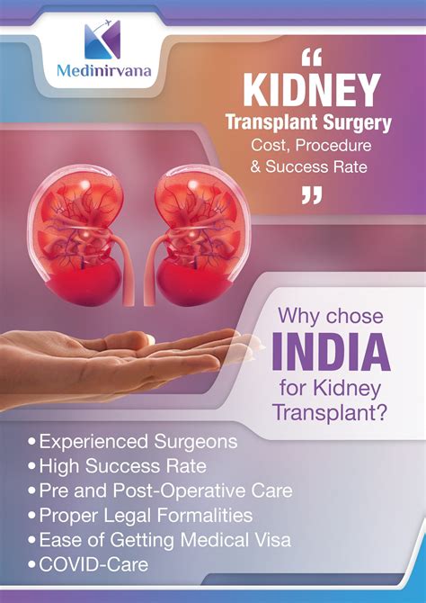 Kidney Transplant Surgery In India Procedure Cost And Success Rate
