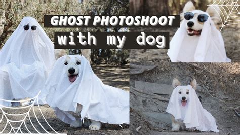 Doing The Ghost Photoshoot With My Dog Tik Tok Made Me Do It Youtube