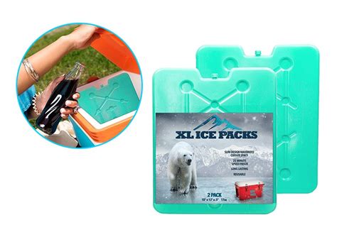 Best Ice Packs For Your Cooler 👍 In 2019