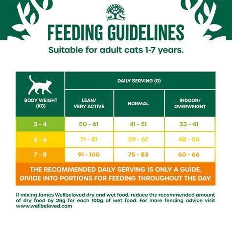 Cat Feeding Guide James Wellbeloved
