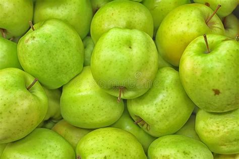 Green Apples Stock Photo Image Of Nourishment Natural 97765864