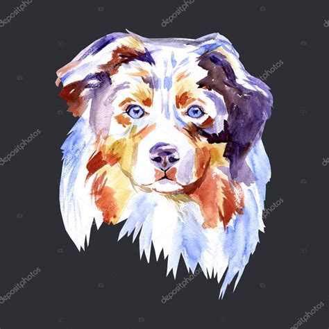 Watercolor Paintings Of Dogs Drawing Dog Breed Australian Shepherd
