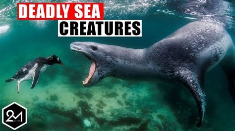 Top 10 Dangerous Sea Creatures You Wont Believe Actually Exist Youtube